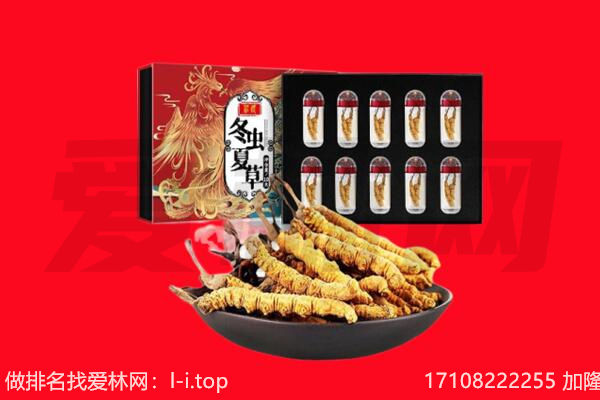 金华永康市回收虫草.jpg
